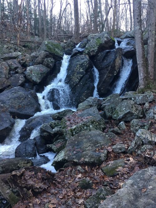 A cascading waterfall flows over large rocks in a wooded area, surrounded by trees and fallen leaves.