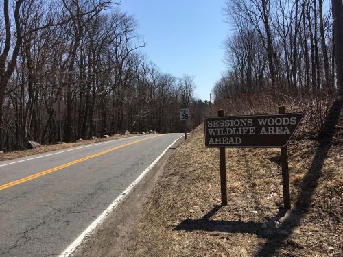 A road sign for Sessions Woods Wildlife Area ahead, with a tree-lined background and clear blue sky.
