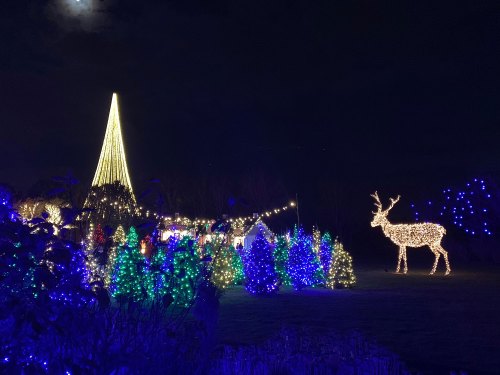 A festive scene with a tall lit tree, colorful lights on trees, and a glowing reindeer in a dark night sky.