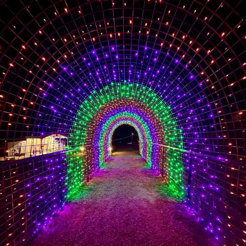 A colorful light tunnel with purple, green, and orange lights illuminating a pathway at night.