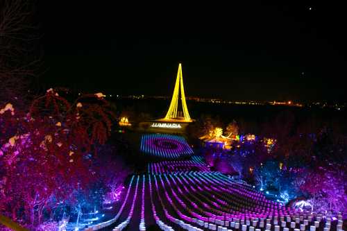 A vibrant night scene featuring colorful lights illuminating a park with a tall, illuminated structure in the background.