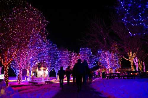 A winter scene with people walking through a park illuminated by colorful holiday lights on trees. Snow covers the ground.