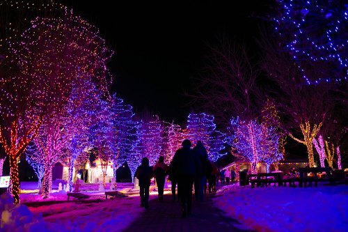 A winter scene with people walking through a park illuminated by colorful holiday lights on trees. Snow covers the ground.