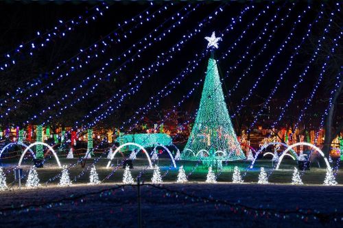 A brightly lit Christmas tree surrounded by colorful lights and decorative displays in a festive park setting.