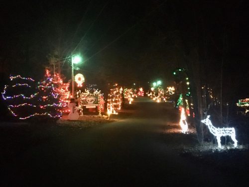 A festive street lined with colorful Christmas lights and decorations, including trees, reindeer, and snowmen, at night.