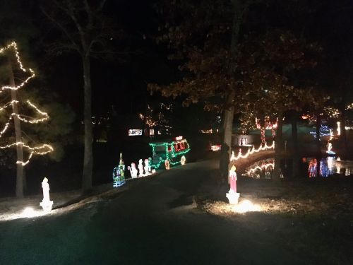 A festive pathway lined with colorful holiday lights and decorations along a dark, serene lakeside.