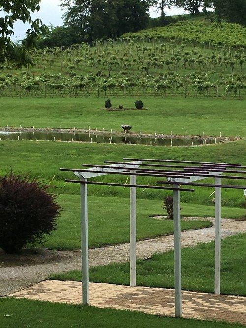 A serene landscape featuring a vineyard, a pond, and a pathway lined with white trellises under a cloudy sky.