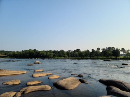 A serene river scene with smooth rocks and lush greenery under a clear blue sky.