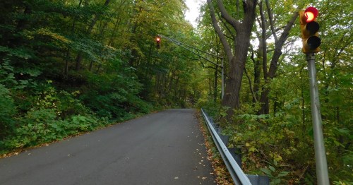 A winding road through a forest with a traffic light showing red, surrounded by lush green trees and autumn foliage.