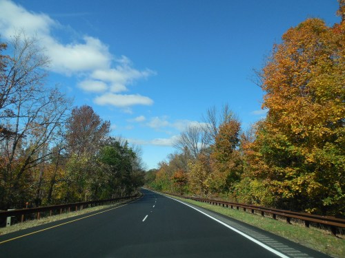 A winding road surrounded by trees with vibrant autumn foliage under a clear blue sky.