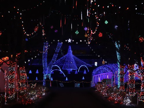 A festive display of colorful holiday lights illuminating trees and structures in a nighttime setting.