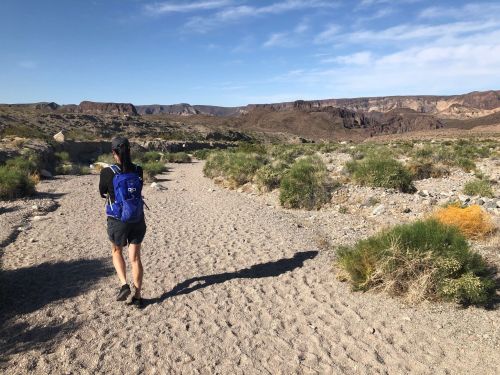 A person walks along a sandy trail in a desert landscape with rocky hills and sparse vegetation under a clear blue sky.