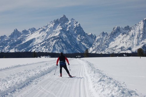 A skier glides along a snowy trail with majestic mountains in the background under a clear blue sky.
