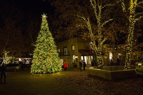 A beautifully lit Christmas tree stands in a festive outdoor setting, surrounded by twinkling lights and autumn leaves.