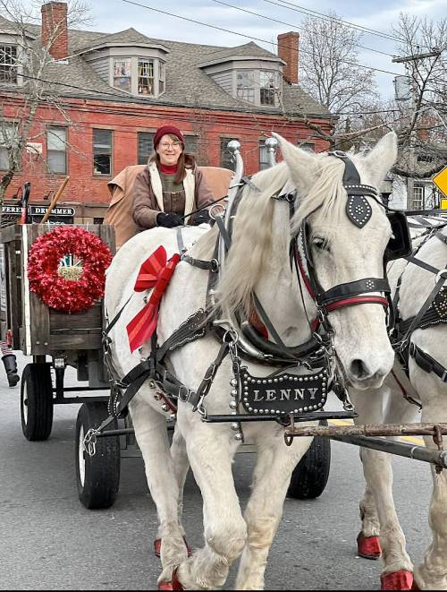 A person in a brown coat rides a horse-drawn carriage decorated with a red wreath, passing by a historic building.