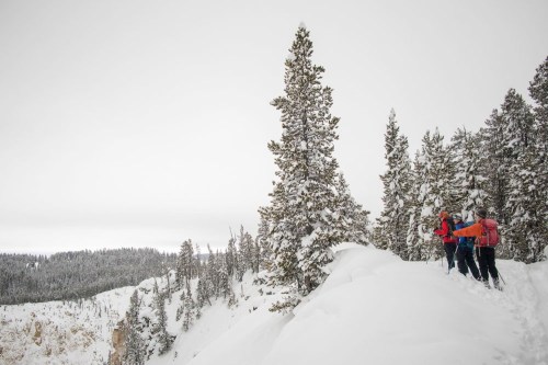 Two hikers in winter gear navigate a snowy trail surrounded by tall evergreen trees and a cloudy sky.