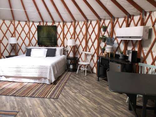 Cozy interior of a yurt featuring a bed, seating area, kitchenette, and decorative plants on the walls.