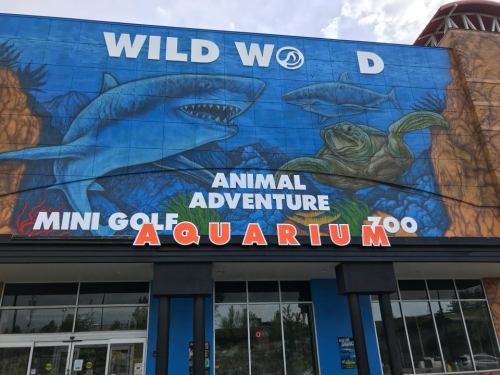 Colorful mural featuring sharks and a turtle on a building labeled "Wildwood Animal Adventure Mini Golf Zoo Aquarium."