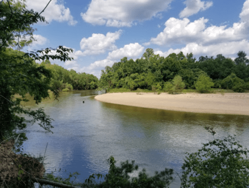 A serene river bends around a sandy shore, surrounded by lush green trees and a bright blue sky with fluffy clouds.