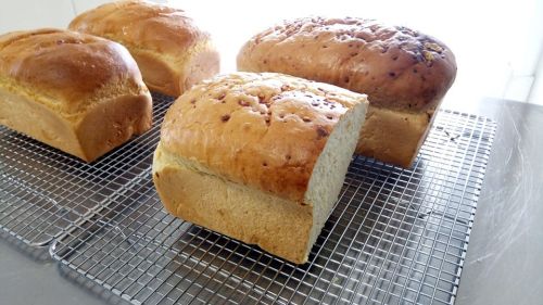 Three freshly baked loaves of bread cooling on a wire rack, with a bright background.