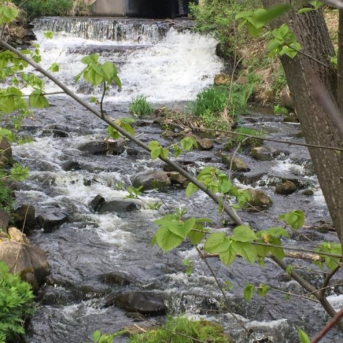 A serene stream flows over rocks, with a small waterfall and green foliage surrounding the scene.