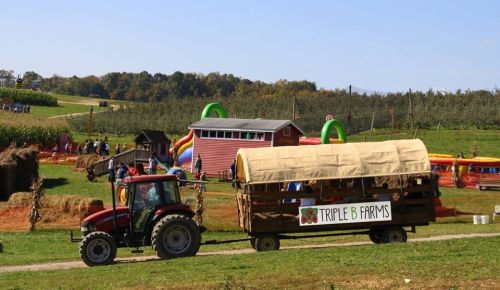A tractor pulls a hayride wagon at Triple B Farms, with families enjoying activities in the background on a sunny day.