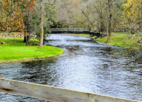 A serene river flows through a green landscape, with a wooden bridge in the background and trees lining the banks.