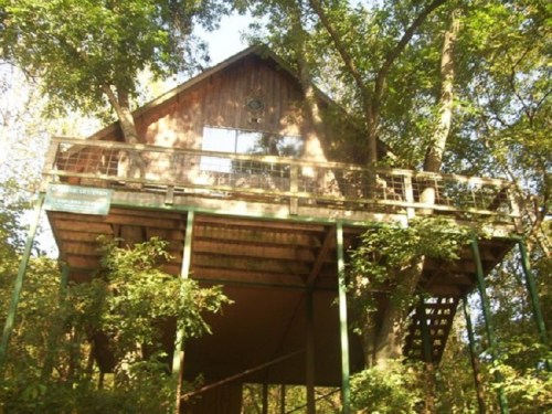 A wooden treehouse elevated among lush green trees, featuring a balcony and large windows.