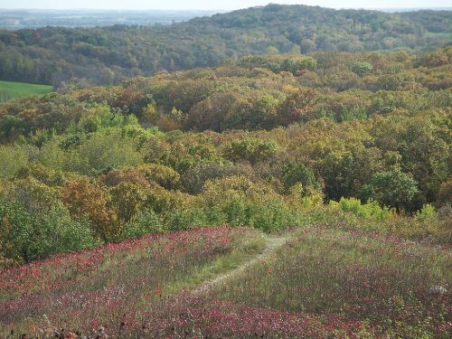 A scenic view of rolling hills covered in vibrant autumn foliage, with a path winding through the colorful landscape.
