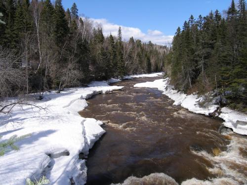 A rushing river flows through a snowy landscape, surrounded by tall trees under a clear blue sky.
