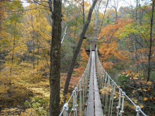 A wooden suspension bridge stretches over a forested area with vibrant autumn foliage.