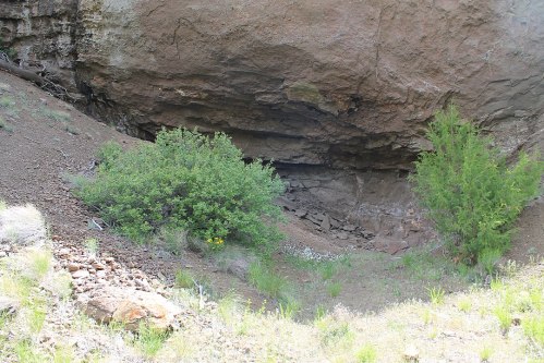 A rocky hillside with sparse vegetation, featuring a small cave entrance and two bushes nearby.