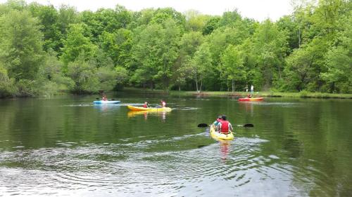 Four kayakers in colorful boats paddle on a calm, green lake surrounded by lush trees.