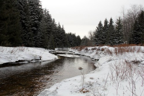 A serene winter landscape featuring a winding river surrounded by snow-covered banks and evergreen trees.