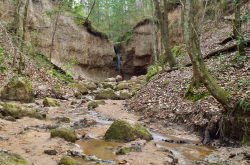 A serene forest scene with a rocky stream, lush greenery, and a small waterfall in the background.