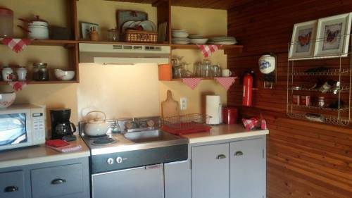 Cozy kitchen with wooden walls, shelves of dishes, a stove, microwave, and various kitchen utensils neatly arranged.