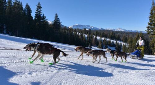 A dog sled team races across snowy terrain with mountains in the background and a musher in a white outfit.