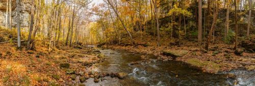 A serene forest scene with a winding stream surrounded by autumn foliage and rocky terrain.