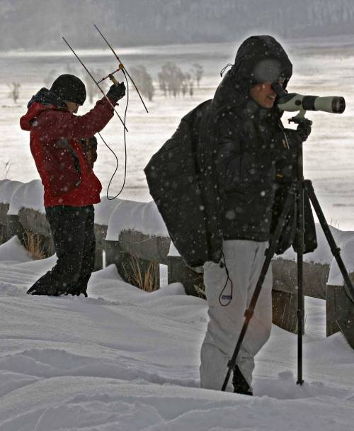 Two people in winter gear, one using a telescope and the other holding a device, amidst falling snow.