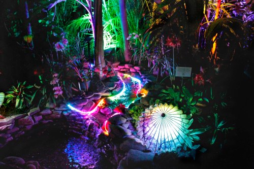 A vibrant garden scene with colorful lights reflecting on water, surrounded by lush plants and a decorative umbrella.