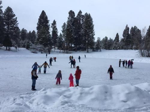 A snowy outdoor ice rink with people skating and enjoying winter activities among tall pine trees.