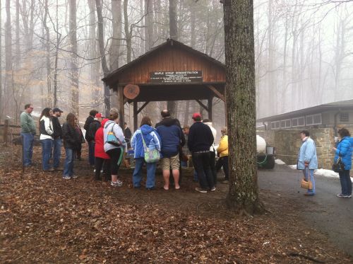 A group of people gathers under a wooden shelter in a foggy forest, waiting for a maple syrup demonstration.