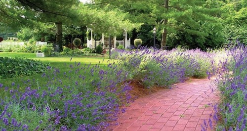 A brick path lined with blooming lavender leads through a lush garden with greenery and a gazebo in the background.
