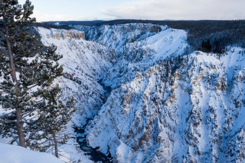 A snowy canyon with steep cliffs and a winding river, surrounded by evergreen trees under a clear blue sky.