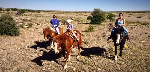 Three people riding horses across a dry, open landscape under a clear blue sky.