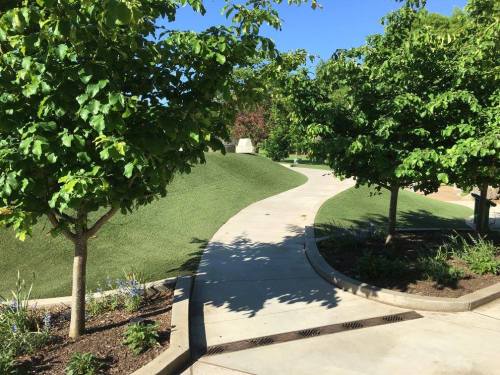 A winding pathway through a green park, lined with trees and vibrant plants under a clear blue sky.