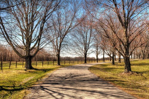 A winding path through a park lined with bare trees and a wooden fence under a clear blue sky.