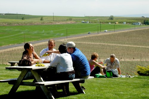 A group of people enjoying a picnic at a vineyard, with lush green fields and a road in the background.