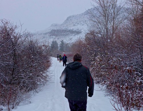 A group of hikers walks along a snowy trail surrounded by trees and hills in a winter landscape.