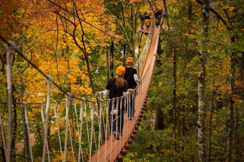 Two people wearing helmets walk across a suspension bridge surrounded by vibrant autumn foliage.